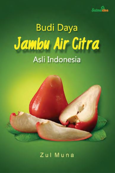 Budi Daya Jambu Air Citra Asli Indonesia