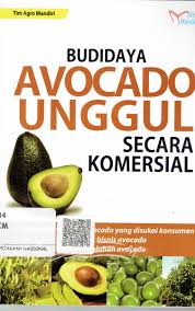 Budidaya Avocado Unggul Secara Komersial