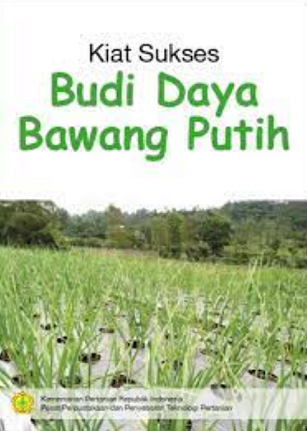 Kiat Sukses Budi Daya Bawang Putih