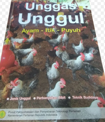 Unggas Unggul Ayam-Itik-Puyuh